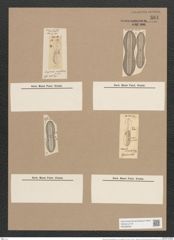 Navicula incurvata [splendida var. incurvata] Rbh. (de-Toni-Nr.: Genus 1, Species 243) Zeichnungen Sammlung Grunow Nr. 581 (NHMW-BOT-W0366939)